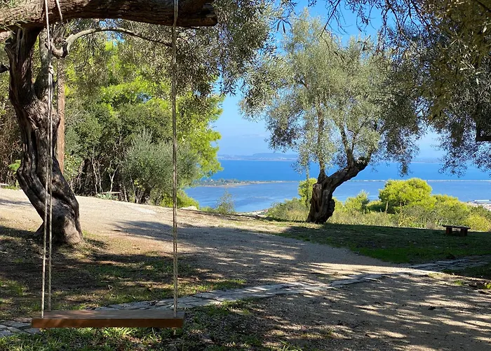 Olive Grove Cottage - Excellent View