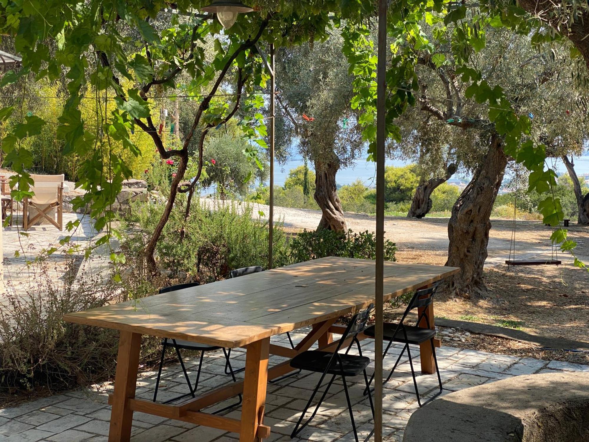 Olive Grove - Excellent View Holiday home *